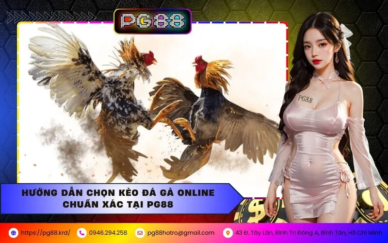 Hướng Dẫn Chọn Kèo Đá Gà Online Chuẩn Xác Tại PG88